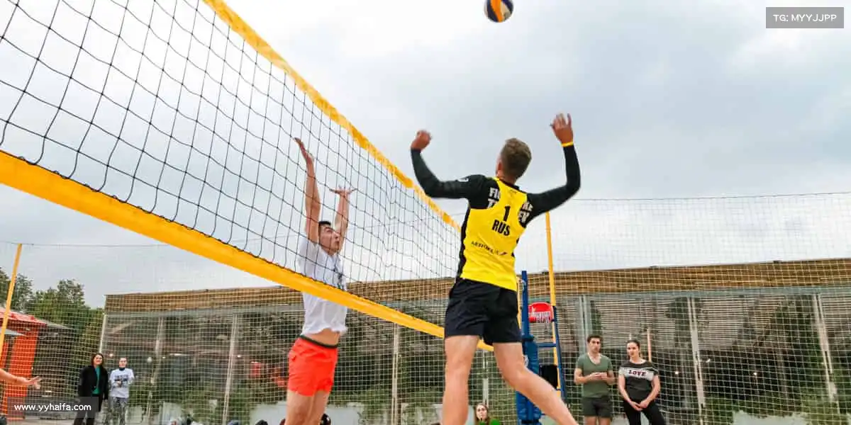 我们的品牌价值